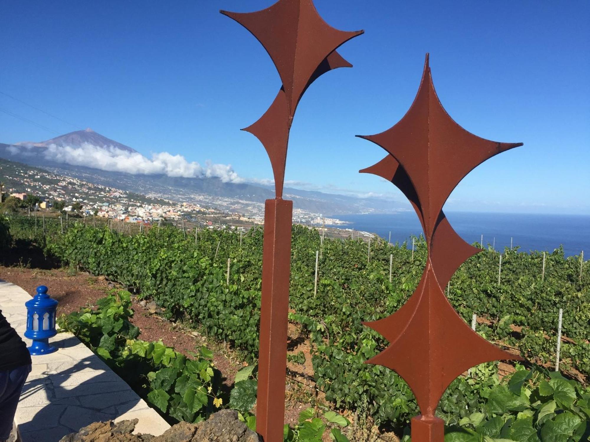 Finca Angelus Apartment Syrah With Amazing Views La Matanza De Acentejo ภายนอก รูปภาพ